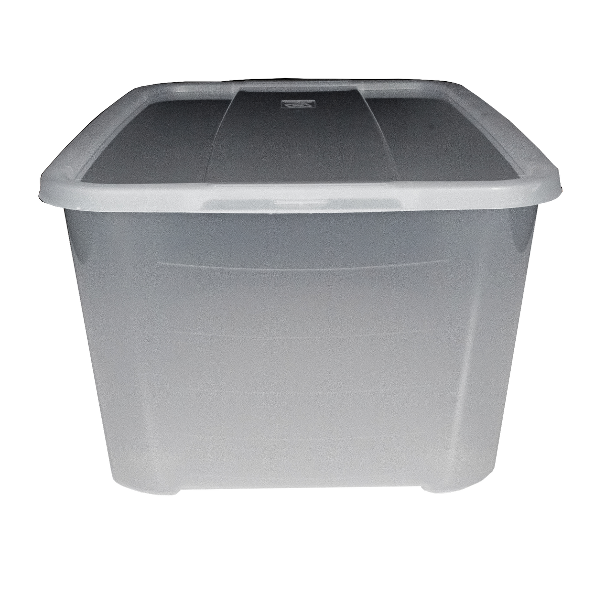Pack de 2 Cajas de Almacenamiento 45L