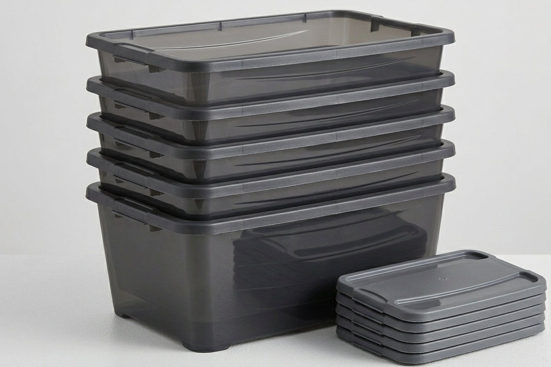 Pack de 5 Cajas Organizadoras con Tapa 6L