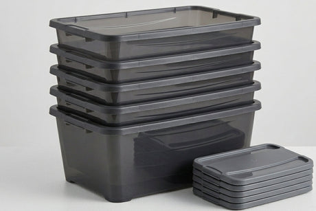 Pack de 5 Cajas Organizadoras con Tapa 6L