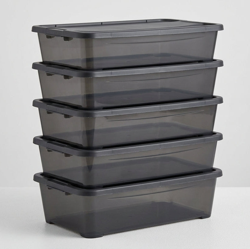 Pack de 5 Cajas Organizadoras con Tapa 6L